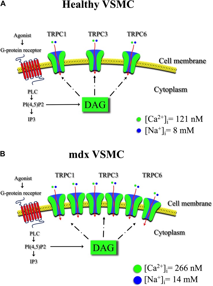 FIGURE 11