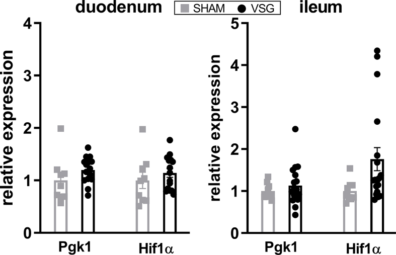 graphic file with name figs1.jpg