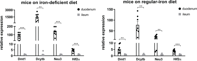 Supplementary Figure 5