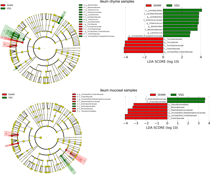 graphic file with name figs4.jpg