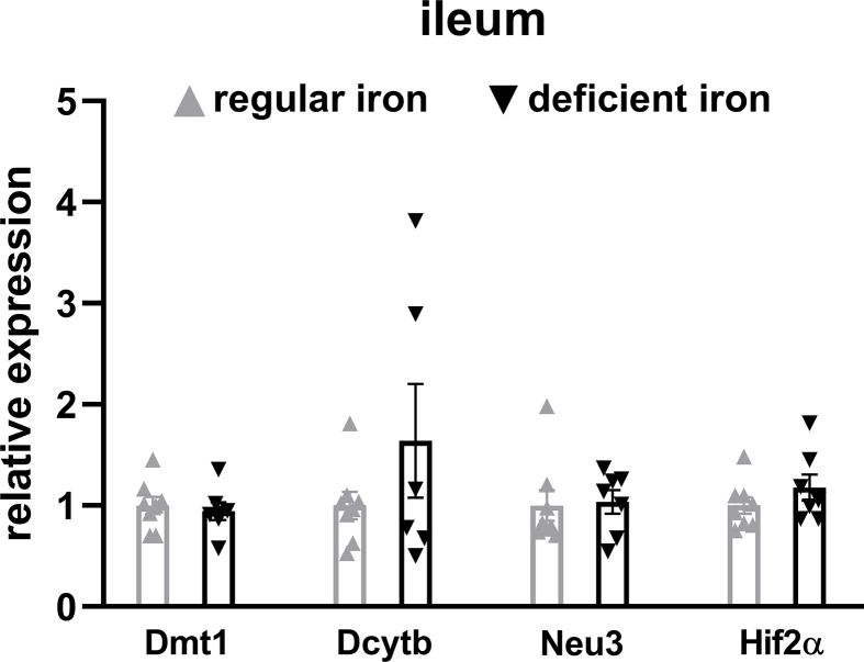 Supplementary Figure 4