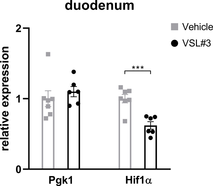 Supplementary Figure 8