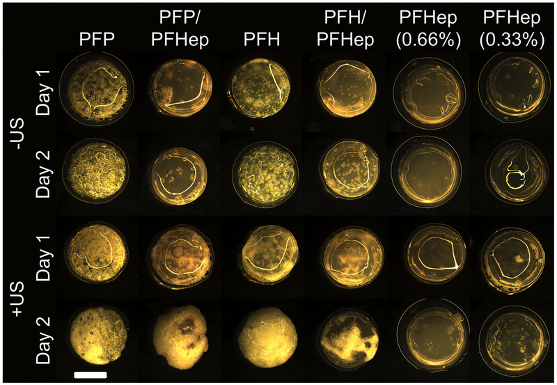 Figure 6: