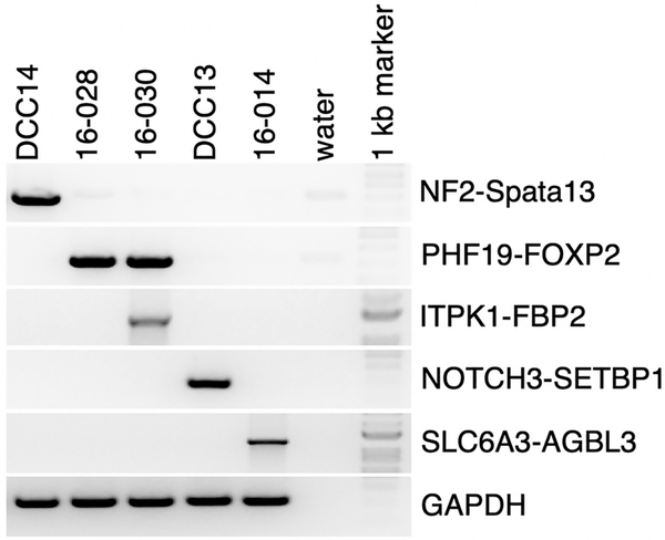 Fig 2.