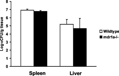 FIG. 5.