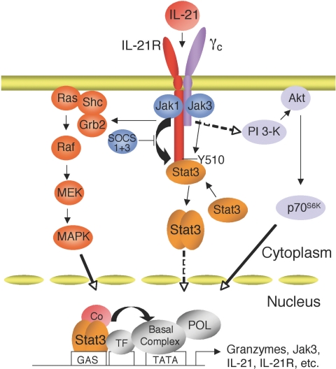 Fig. 3.