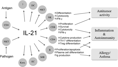 Fig. 5.