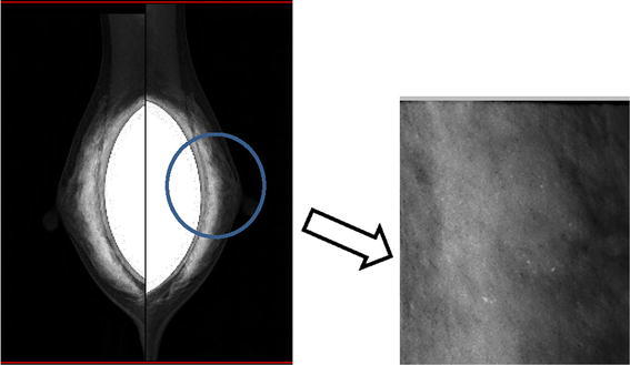 Fig. 1