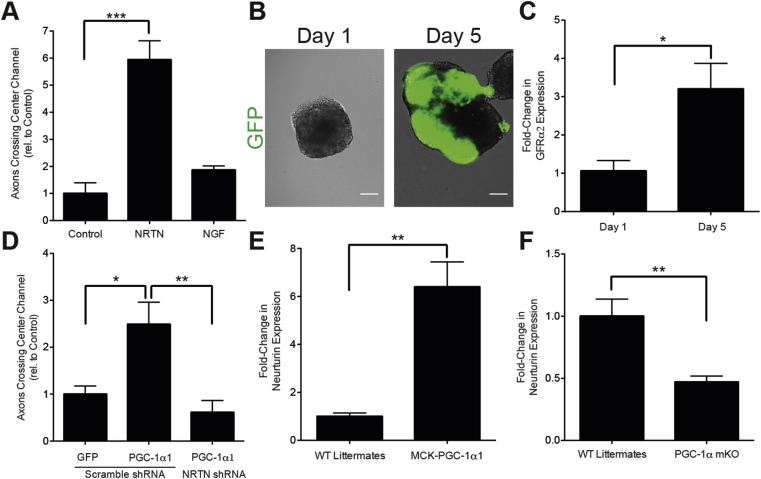 Figure 5