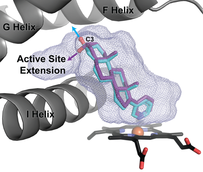 Figure 6