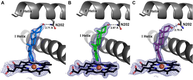 Figure 2