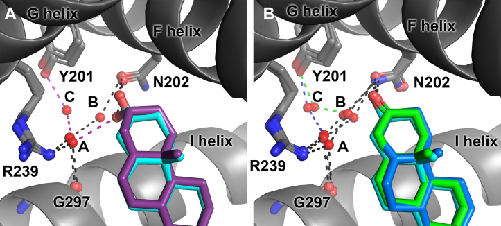 Figure 3