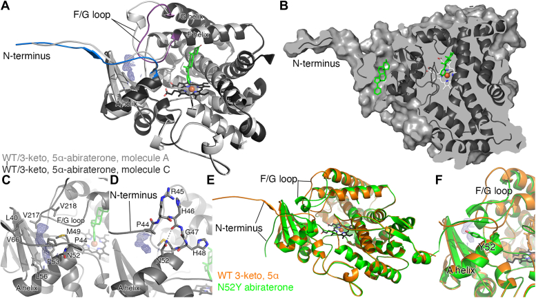 Figure 4