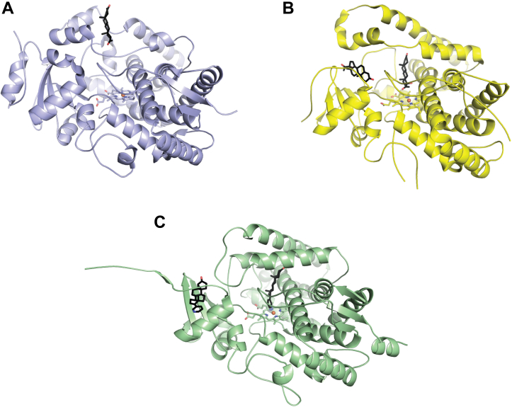 Figure 7