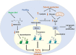 Figure 6