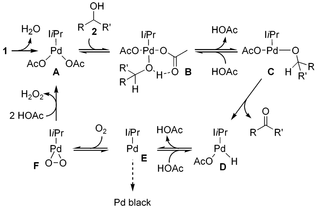 Scheme 2