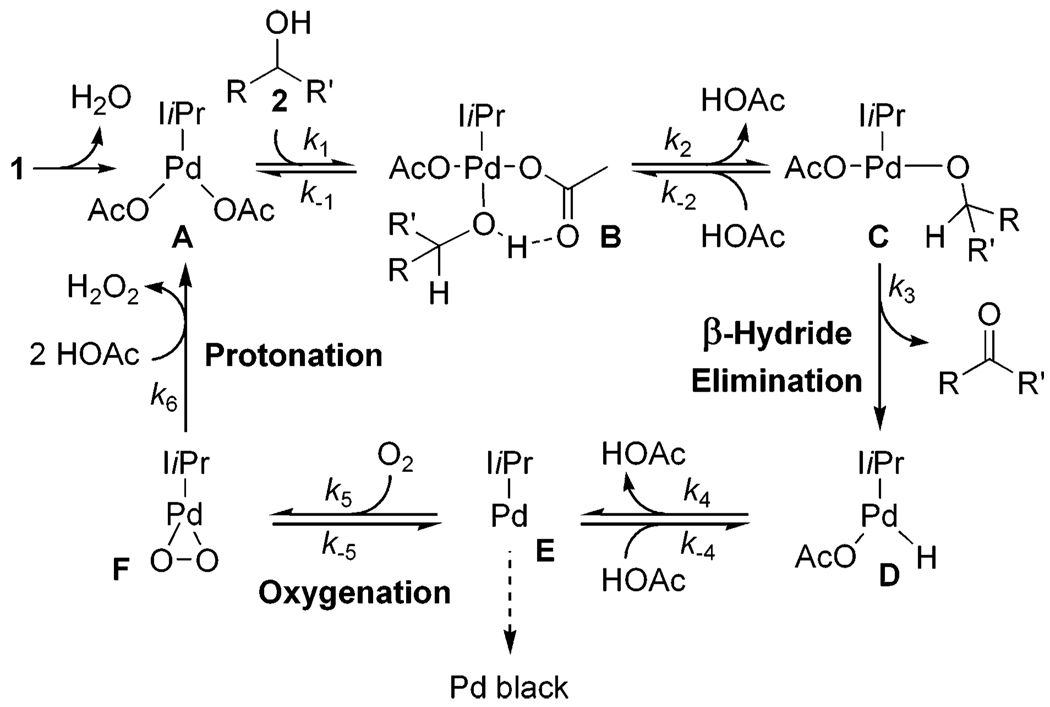 Scheme 4