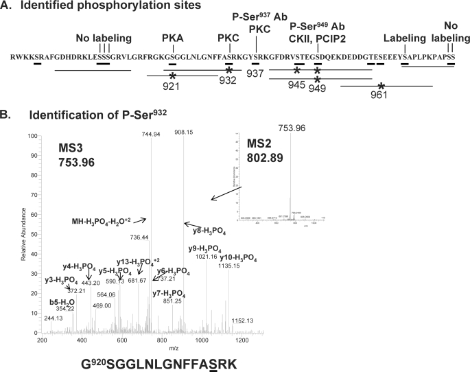 FIGURE 3.