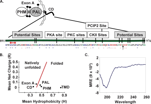 FIGURE 1.