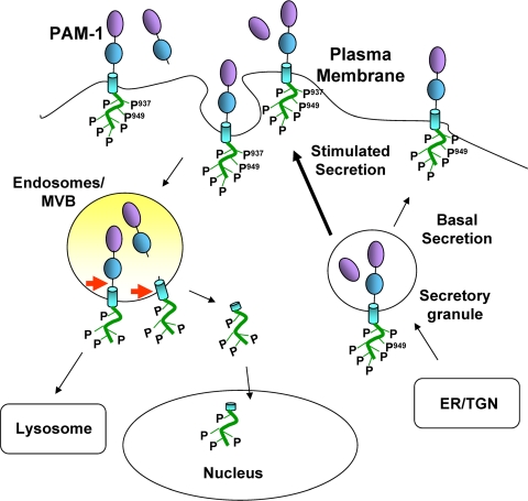 FIGURE 10.