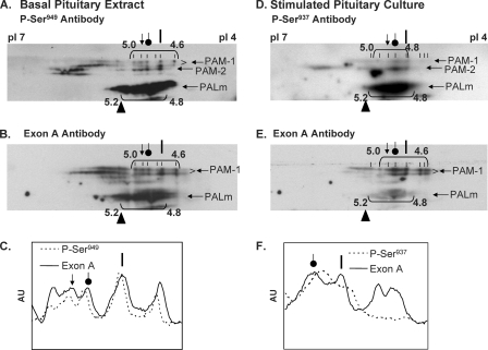 FIGURE 7.