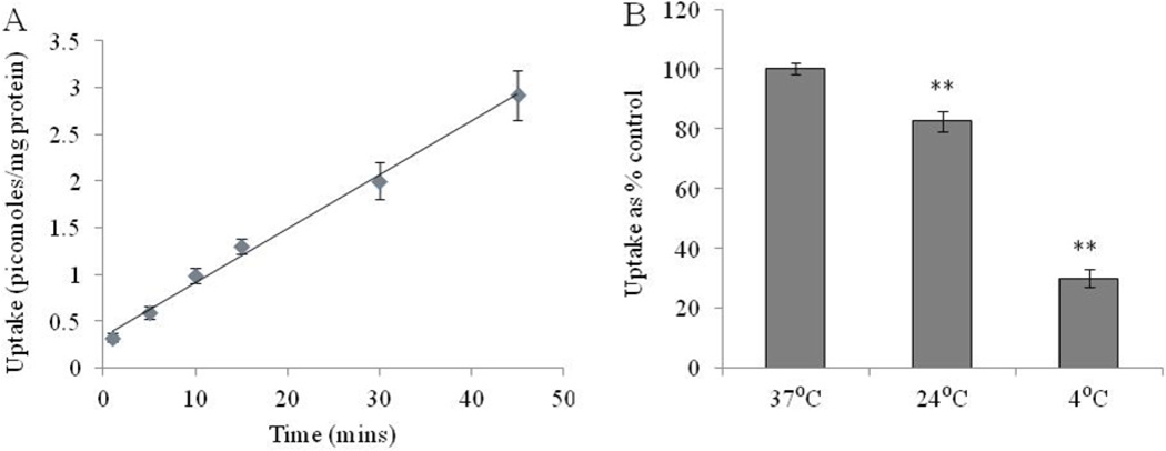 Fig. 1A