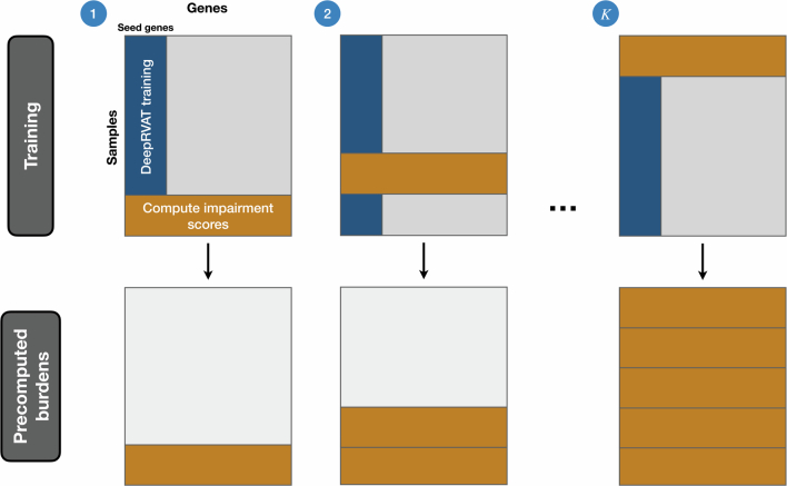 Extended Data Fig. 1