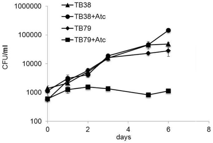 Figure 7