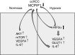 Fig. 8