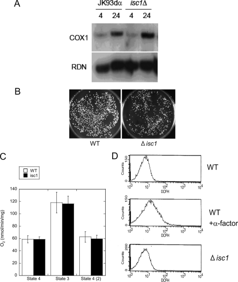 FIGURE 2.