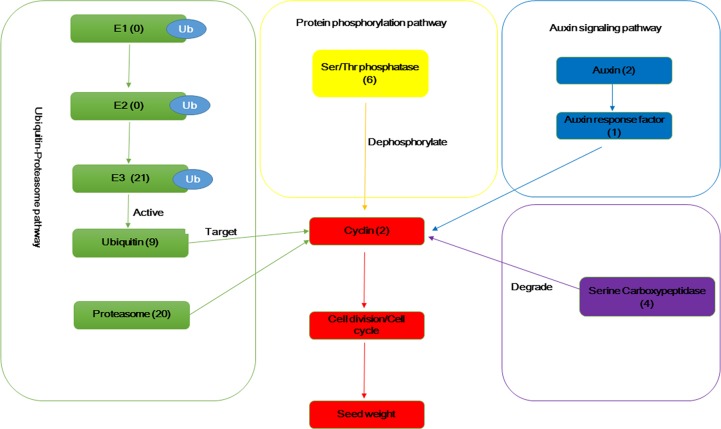 Fig 6