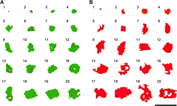 Figure 5.