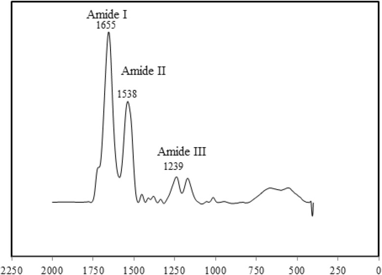 Fig. 9