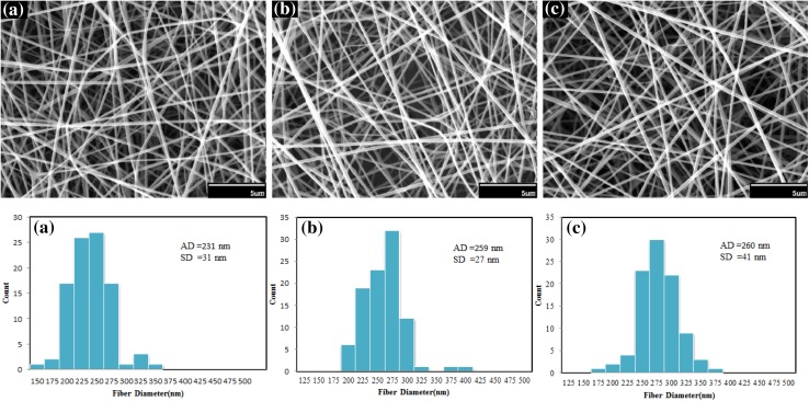 Fig. 12