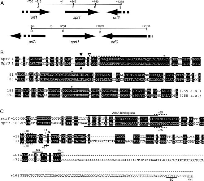 FIG. 2.