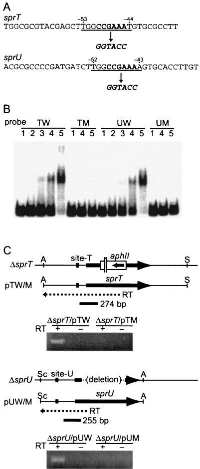 FIG. 6.