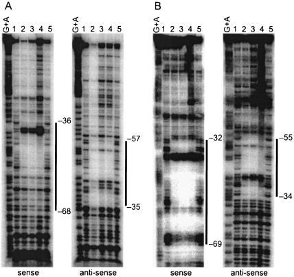 FIG. 5.