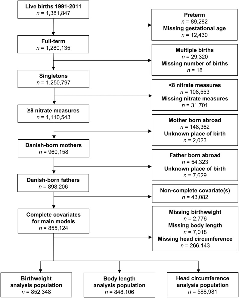 Figure 1 is a flow chart having eight steps. Step 1: Live births 1991to 2011 with lowercase italic n equals 1381847 including preterm with lowercase italic n equals 89282 and missing gestational age with lowercase italic n equals 12430. Step 2: Full term with lowercase italic n equals 1280135 including multiple births with lowercase italic n equals 29320 and missing number of births with lowercase italic n equals 18. Step 3: Singletons with lowercase italic n equals 1250797 including less than 8 nitrate measures with lowercase italic n equals 108553 and missing nitrate measures with lowercase italic n equals 31701. Step 4: Greater than or equal to 8 nitrate measures with lowercase italic n equals 1110543 including mother born abroad with lowercase italic n equals 148362 and unknown place of birth with lowercase italic n equals 2023. Step 5: Danish born mothers with lowercase italic n equals 960158 including father born abroad with lowercase italic n equals 54323 and unknown place of birth with lowercase italic n equals 7629. Step 6: Danish born father with lowercase italic n equals 898206 including non-complete covariate(s) with lowercase italic n equals 43082. Step 7: Complete covariates for main models with lowercase italic n equals 855124 including missing birth weight with lowercase italic n equals 2776, missing body length with lowercase italic n equals 7018, and missing head circumference with lowercase italic n equals 266143. Step 8: Birth weight analysis population with lowercase italic n equals 852348, body length analysis population with lowercase italic n equals 848106, and head circumference analysis population with lowercase italic n equals 588981.