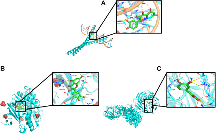 FIGURE 9