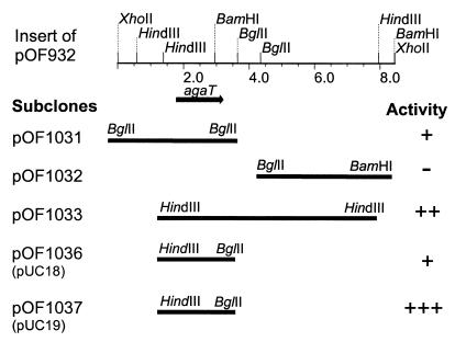 FIG. 1