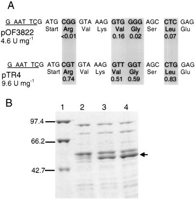 FIG. 4