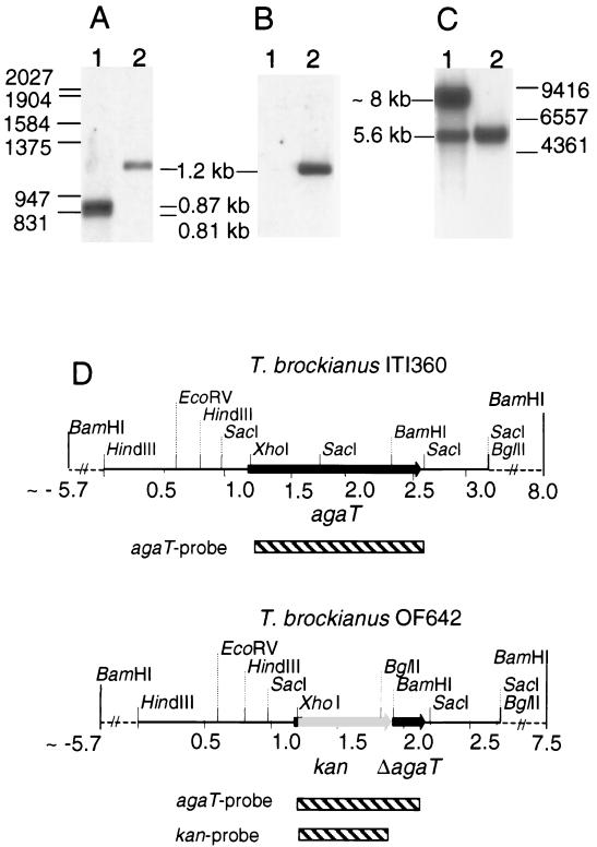 FIG. 6