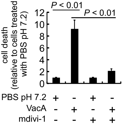 Fig. 7.