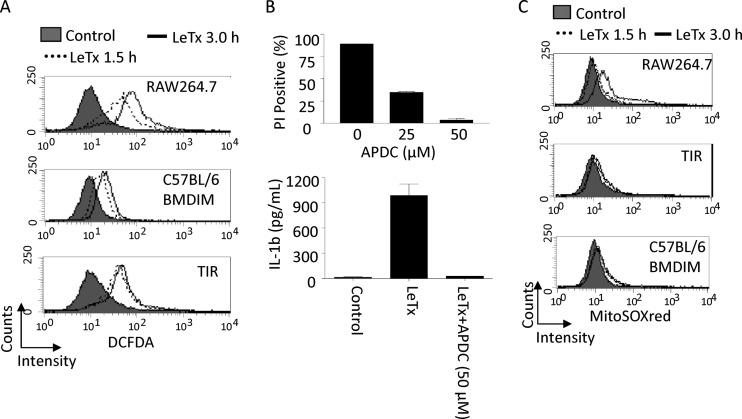 Fig 3