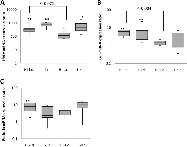 FIG 3