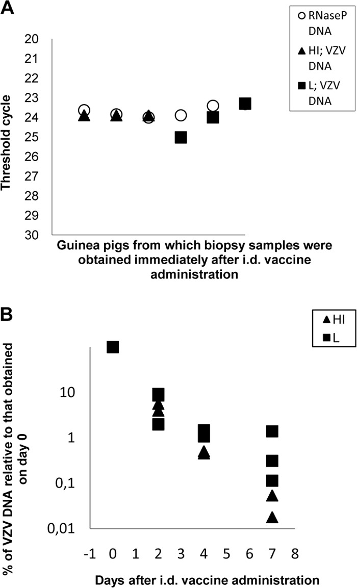 FIG 1