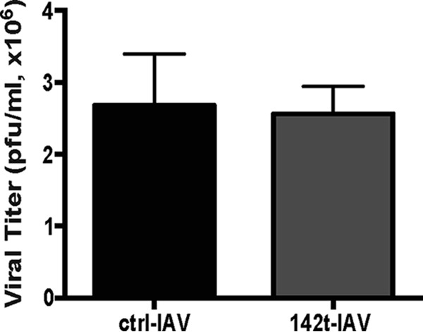 FIG 1