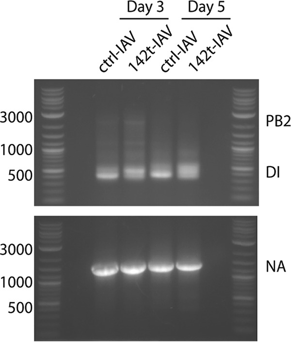 FIG 5