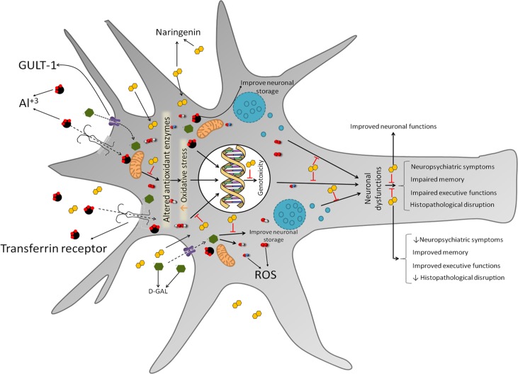 Fig 12