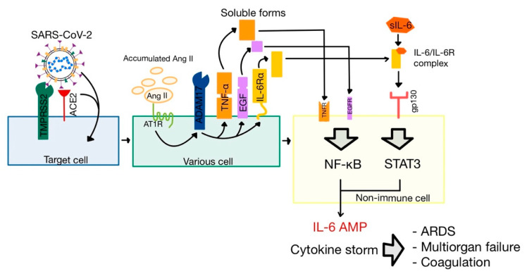 Figure 7